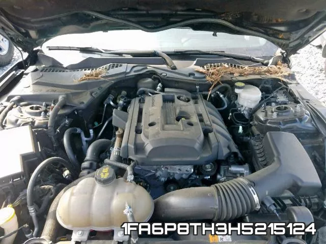 1FA6P8TH3H5215124_7.webp