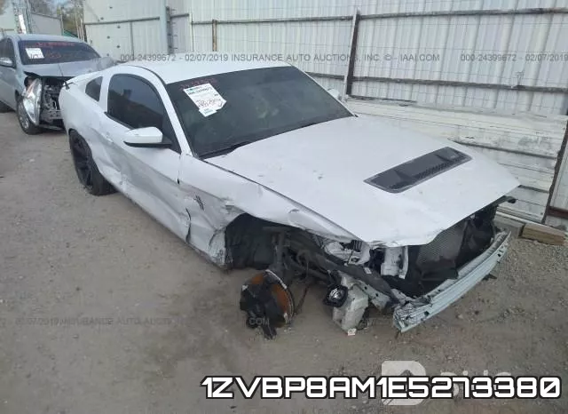 1ZVBP8AM1E5273380