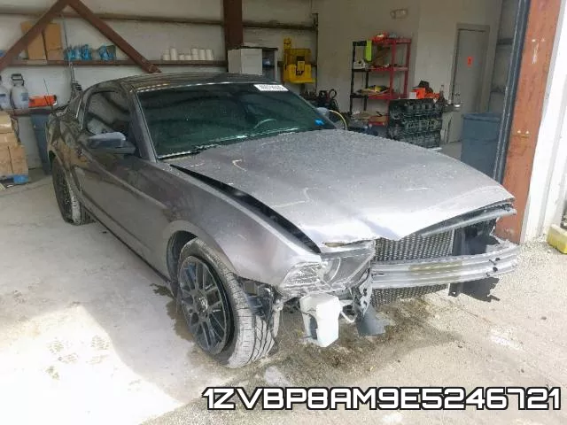 1ZVBP8AM9E5246721