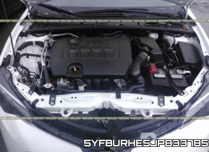 5YFBURHE5JP833785_10.webp