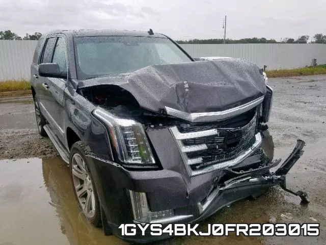1GYS4BKJ0FR203015