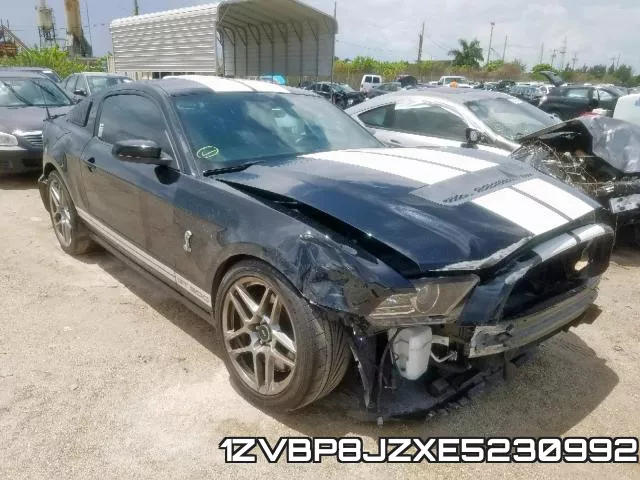 1ZVBP8JZXE5230992