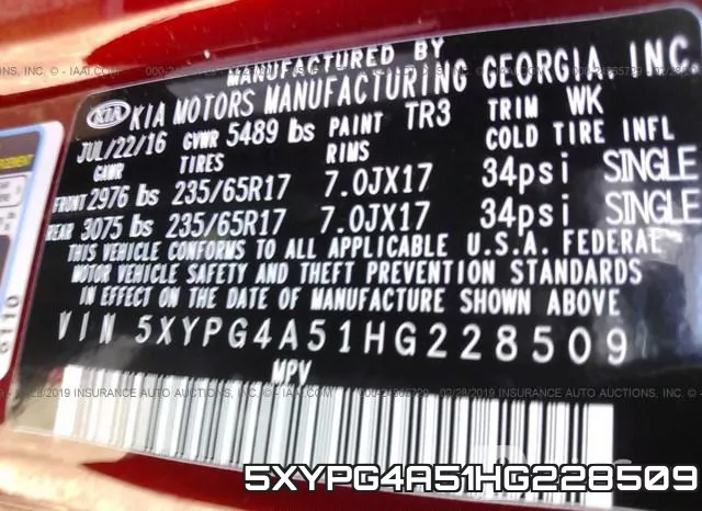 5XYPG4A51HG228509_9.webp