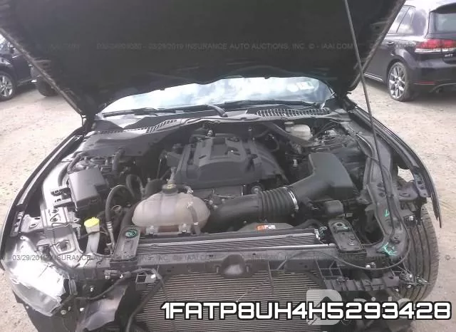 1FATP8UH4H5293428_10.webp