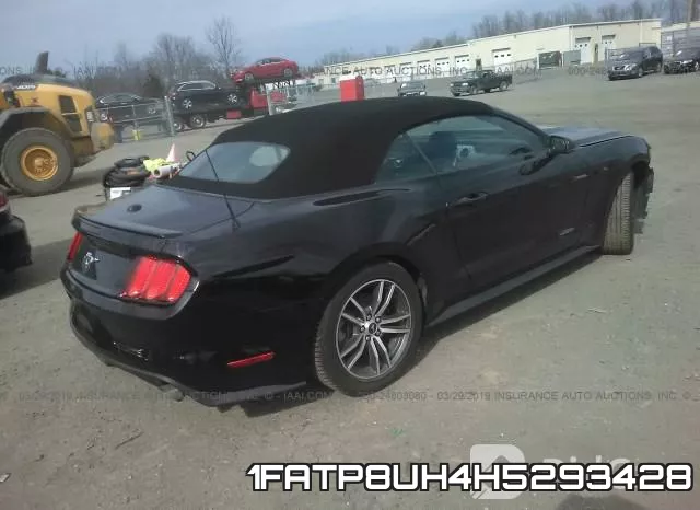 1FATP8UH4H5293428_4.webp