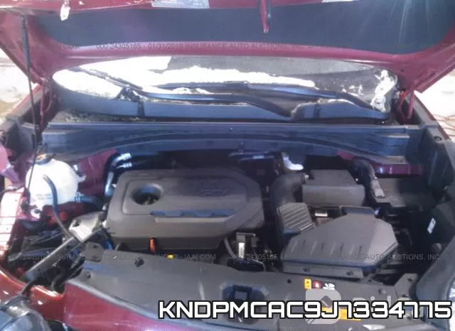 KNDPMCAC9J7334775_10.webp