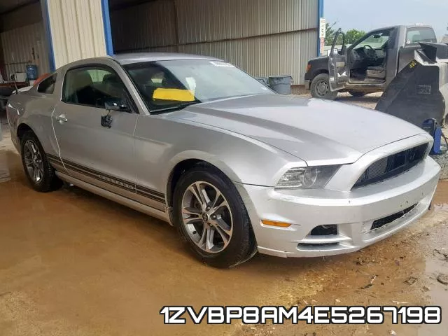 1ZVBP8AM4E5267198