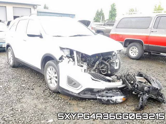 5XYPG4A36GG063215