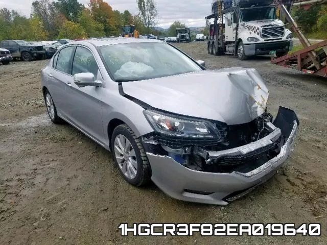 1HGCR3F82EA019640