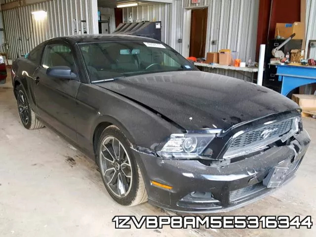 1ZVBP8AM5E5316344