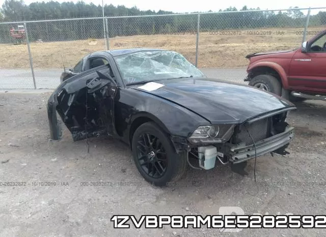 1ZVBP8AM6E5282592