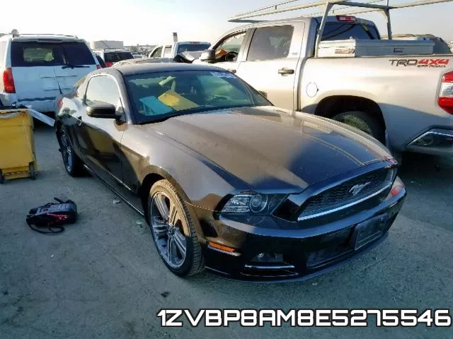 1ZVBP8AM8E5275546