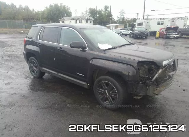 2GKFLSEK9G6125124