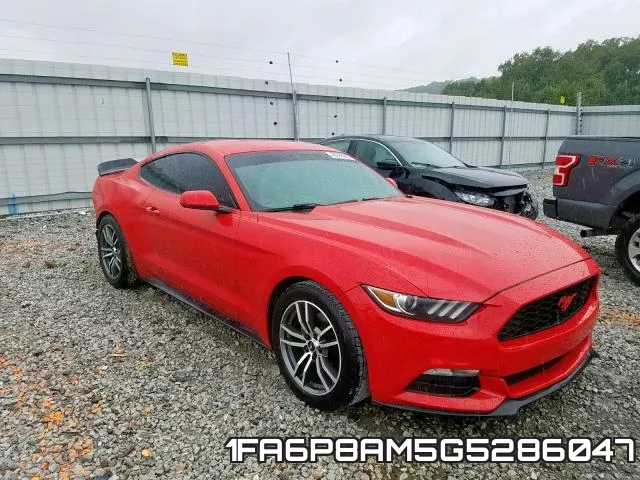 1FA6P8AM5G5286047