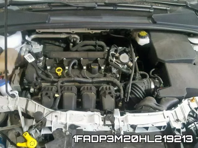 1FADP3M20HL219213