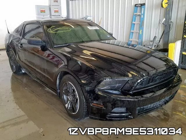 1ZVBP8AM9E5311034