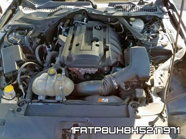 1FATP8UH8H5217971_7.webp