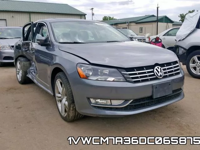 1VWCM7A36DC065875