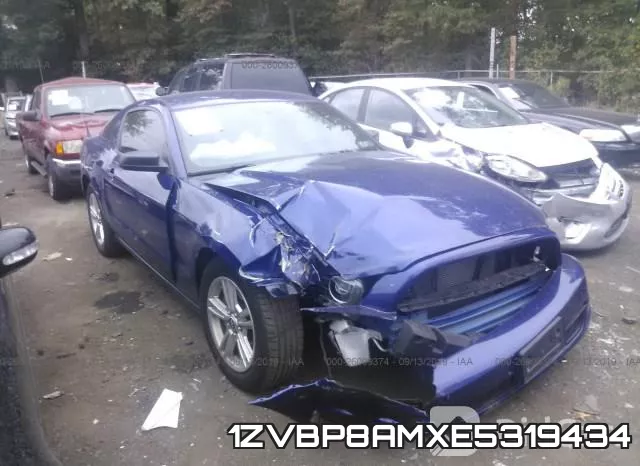 1ZVBP8AMXE5319434