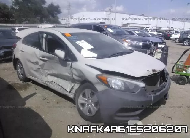 KNAFK4A61E5206207