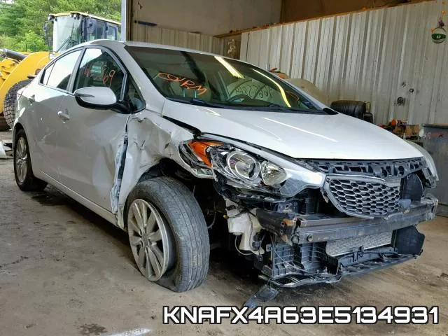 KNAFX4A63E5134931