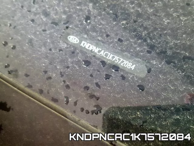 KNDPNCAC1K7572084_10.webp