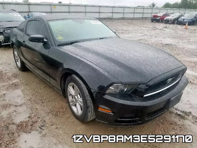 1ZVBP8AM3E5291170