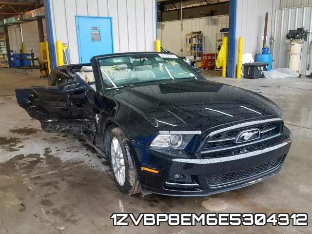 1ZVBP8EM6E5304312