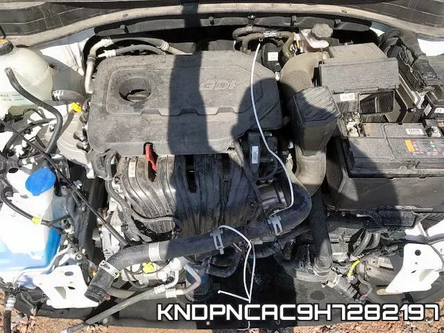 KNDPNCAC9H7282197_7.webp