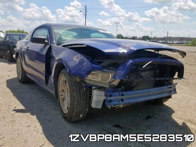 1ZVBP8AM5E5283510