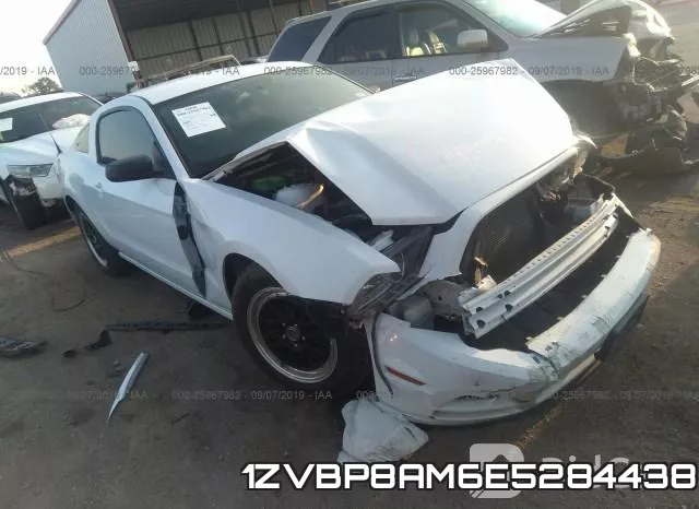 1ZVBP8AM6E5284438