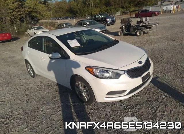 KNAFX4A66E5134230
