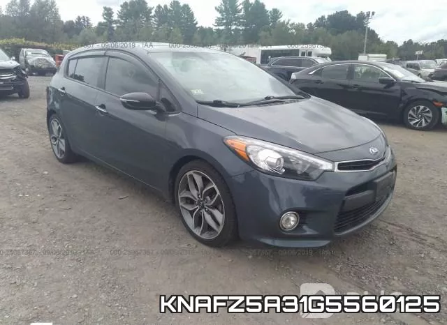 KNAFZ5A31G5560125