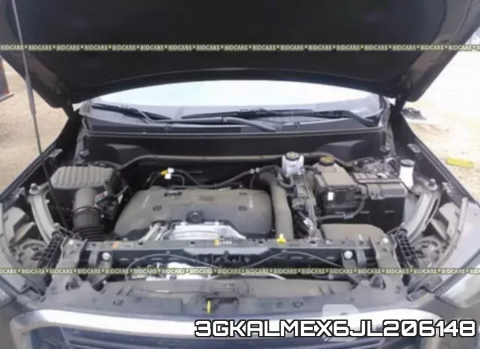 3GKALMEX6JL206148_10.webp