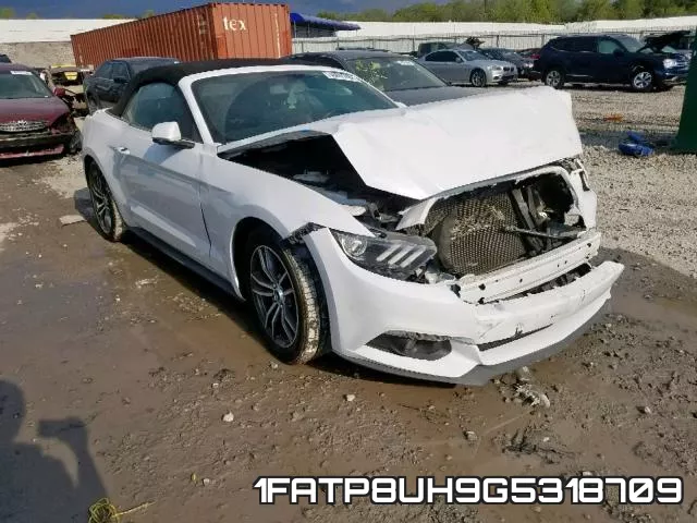 1FATP8UH9G5318709