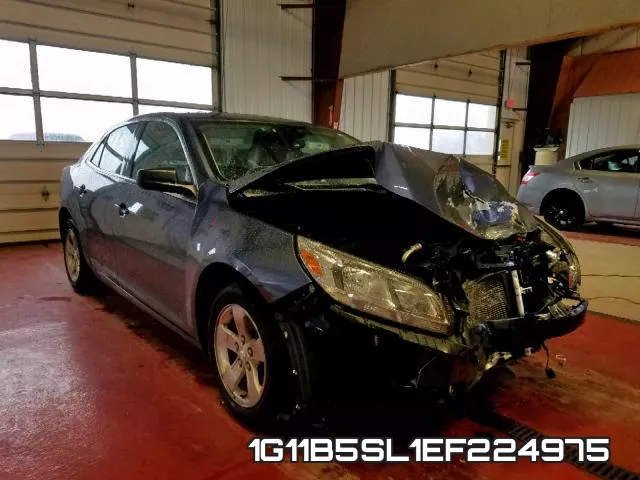 1G11B5SL1EF224975