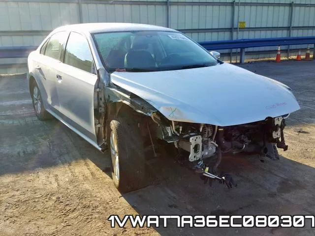 1VWAT7A36EC080307