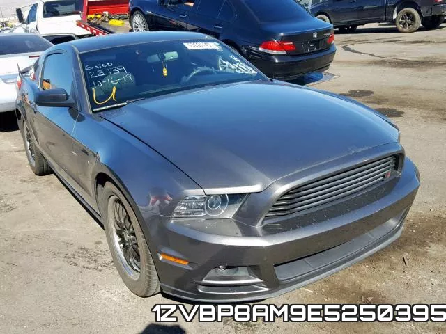 1ZVBP8AM9E5250395