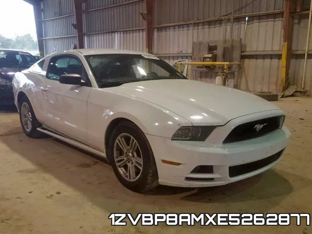 1ZVBP8AMXE5262877