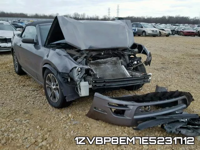 1ZVBP8EM7E5231712