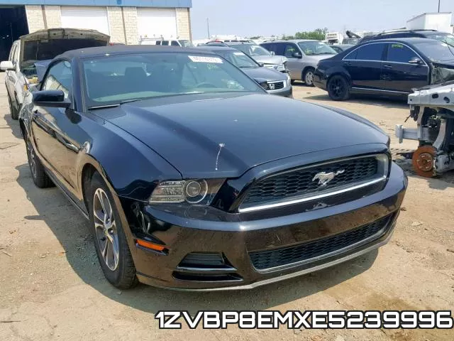 1ZVBP8EMXE5239996