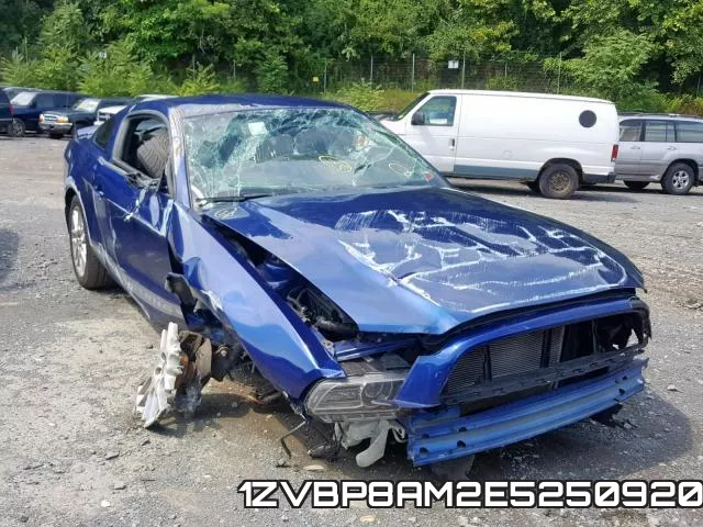1ZVBP8AM2E5250920