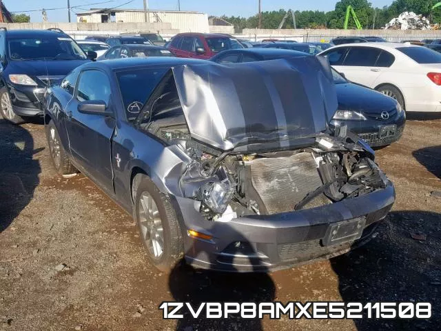 1ZVBP8AMXE5211508