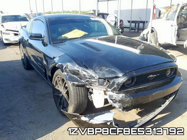 1ZVBP8CF8E5313792