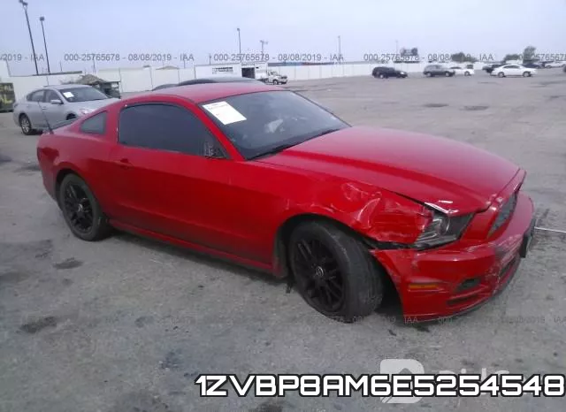 1ZVBP8AM6E5254548