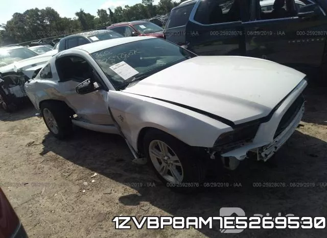 1ZVBP8AM7E5269530