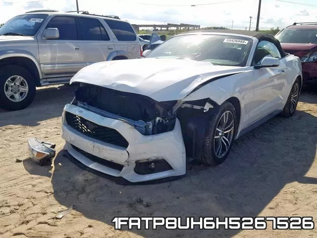 1FATP8UH6H5267526_2.webp