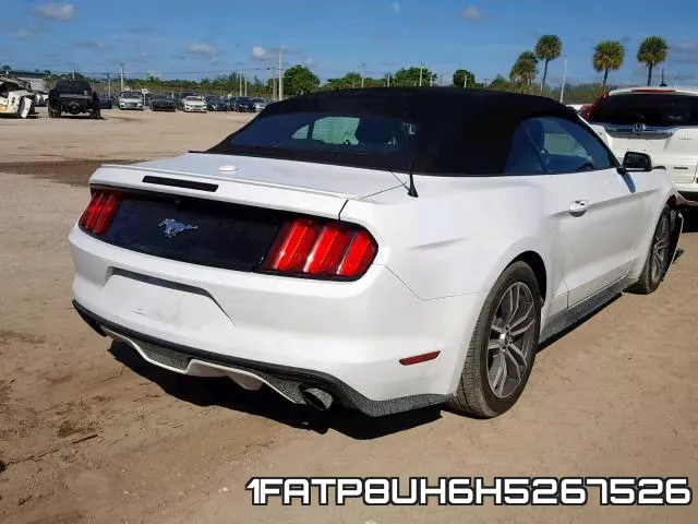 1FATP8UH6H5267526_4.webp