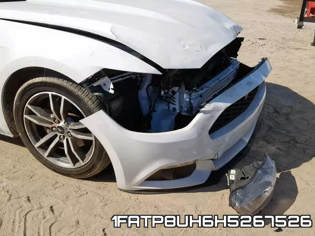 1FATP8UH6H5267526_9.webp