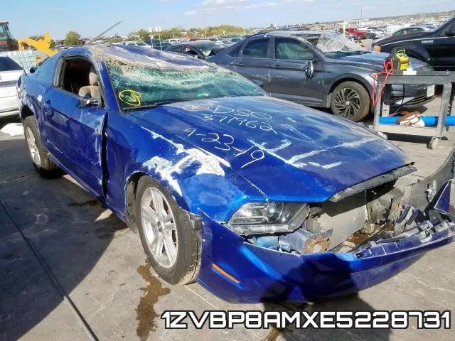 1ZVBP8AMXE5228731